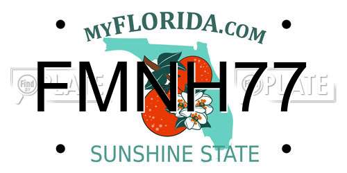 FMNH77 Florida License Plate