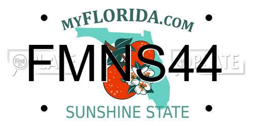 FMNS44 Florida License Plate