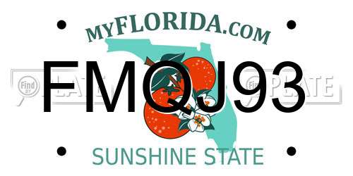 FMQJ93 Florida License Plate