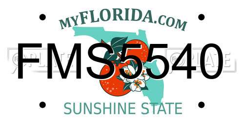 FMS5540 Florida License Plate