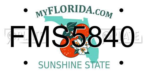 FMS5840 Florida License Plate