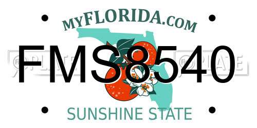 FMS8540 Florida License Plate