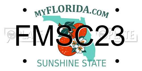 FMSC23 Florida License Plate
