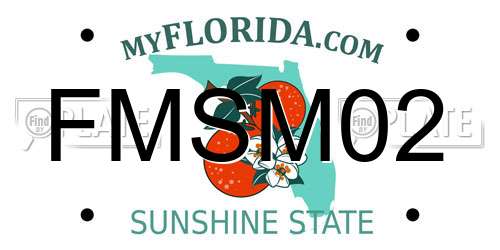 FMSM02 Florida License Plate