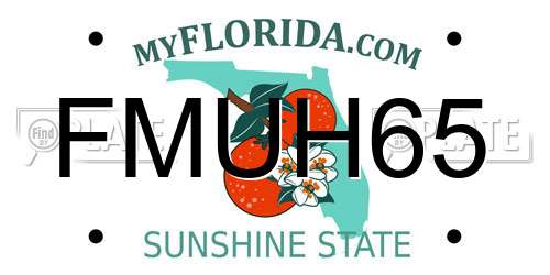 FMUH65 Florida License Plate