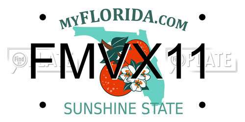 FMVX11 Florida License Plate