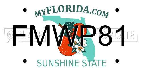 FMWP81 Florida License Plate