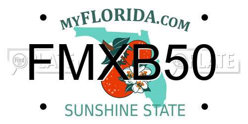 FMXB50 Florida License Plate