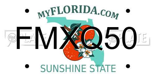 FMXQ50 Florida License Plate