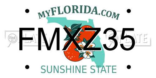 FMXZ35 Florida License Plate