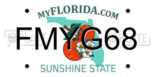 FMYG68 Florida License Plate