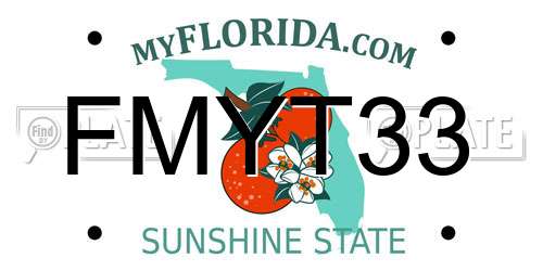 FMYT33 Florida License Plate