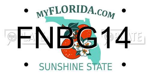 FNBG14 Florida License Plate