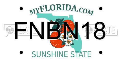 FNBN18 Florida License Plate