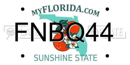 FNBQ44 Florida License Plate