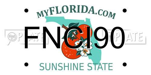FNCI90 Florida License Plate