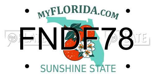 FNDF78 Florida License Plate