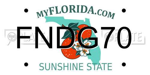 FNDG70 Florida License Plate