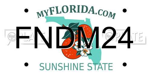 FNDM24 Florida License Plate