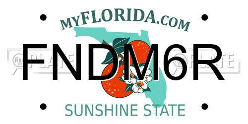 FNDM6R Florida License Plate