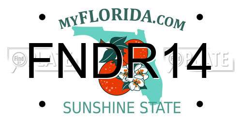 FNDR14 Florida License Plate