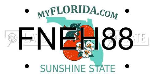 FNEH88 Florida License Plate