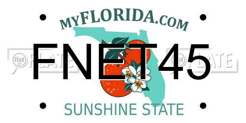 FNET45 Florida License Plate