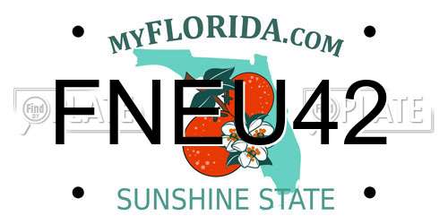 FNEU42 Florida License Plate