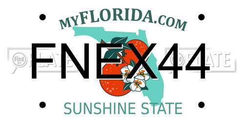 FNEX44 Florida License Plate