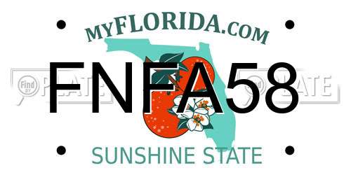 FNFA58 Florida License Plate