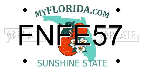 FNFE57 Florida License Plate