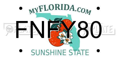 FNFY80 Florida License Plate