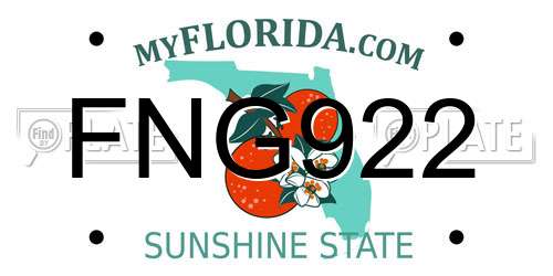 FNG922 Florida License Plate