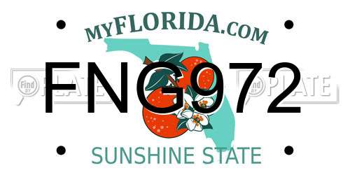 FNG972 Florida License Plate