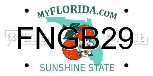 FNGB29 Florida License Plate