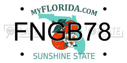 FNGB78 Florida License Plate