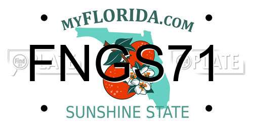 FNGS71 Florida License Plate