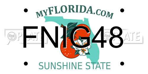 FNIG48 Florida License Plate
