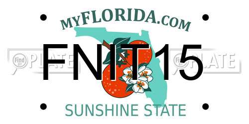 FNIT15 Florida License Plate