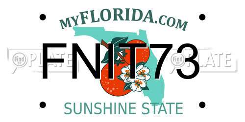 FNIT73 Florida License Plate