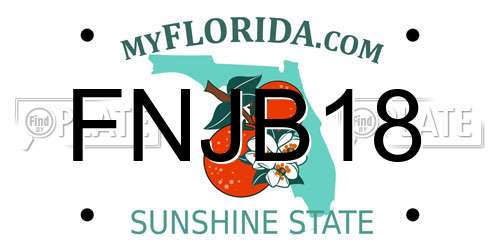 FNJB18 Florida License Plate