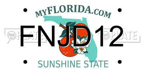 FNJD12 Florida License Plate