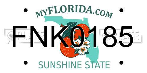 FNK0185 Florida License Plate