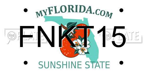 FNKT15 Florida License Plate
