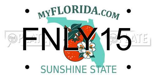 FNLY15 Florida License Plate
