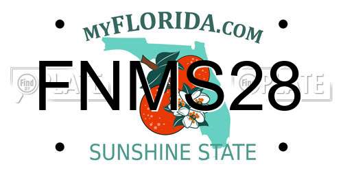 FNMS28 Florida License Plate