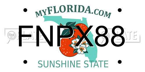 FNPX88 Florida License Plate