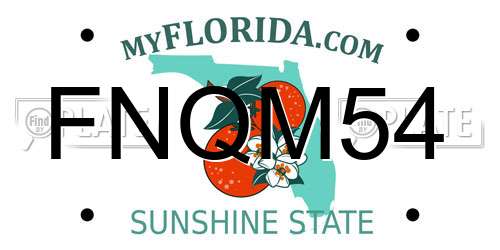 FNQM54 Florida License Plate