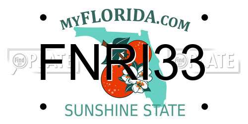 FNRI33 Florida License Plate