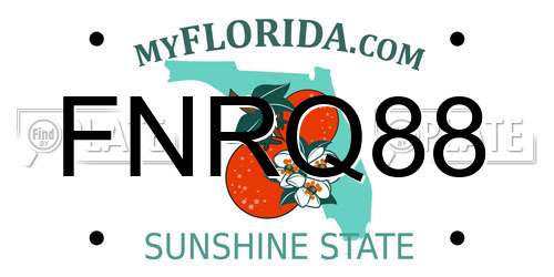 FNRQ88 Florida License Plate